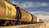 Експортні перевезення зерна залізницею за рік упали на 74%