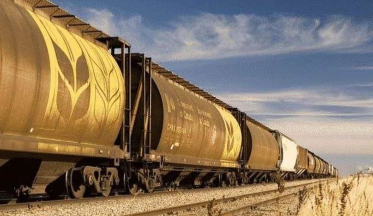Експортні перевезення зерна залізницею за рік упали на 74%