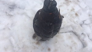 Школьник нашел боевую гранату возле детского сада на Харьковщине, - ГСЧС. ФОТО