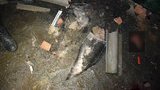 Donbas resident killed by blast while trying to cut through unexploded ordnance. PHOTOS