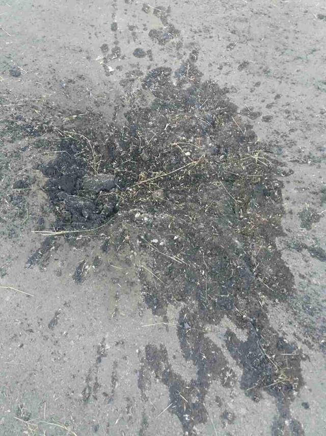 Боевики из минометов обстреляли Сартану, - Аброськин 02