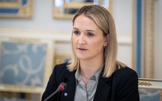 Проміжний статус може ускладнити повноцінний вступ України до ЄС, - глава МЗС Ірландії Макенті
