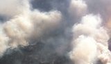 Навмисний підпал - причина пожеж у лісах Херсонщини, тепер на їхню охорону разом із лісниками заступають військові, - голова ОДА Гордєєв