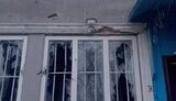 олешки