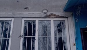 олешки