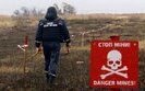 донбасс,поле,поля,мины,разминирование,минное,сапер,миннык