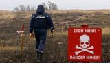 донбасс,поле,поля,мины,разминирование,минное,сапер,миннык