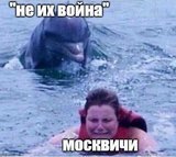 Несподівана зустріч