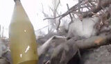 Close combat with an assault group of Russian invaders from a Ukrainian soldier’s camera. VIDEO