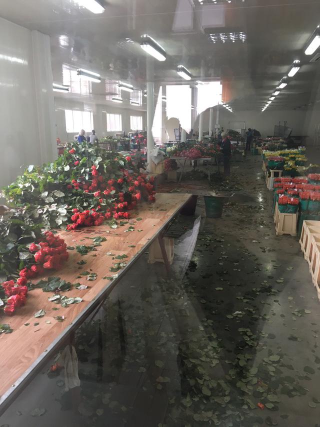 налоговая цветы