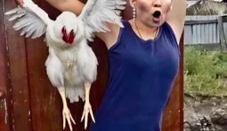 Особливості російської пропаганди