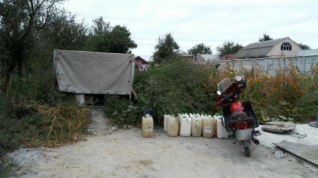азс гфс