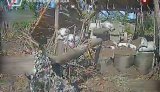 Знищення техніки окупантів на Краматорському напрямку