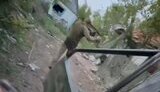 россиянина ранили зад
