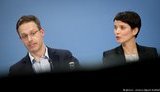 Росія оплатила приватний літак німецьким правопопулістам із "Альтернативи для Німеччини", депутати якої раніше відвідали Сирію
