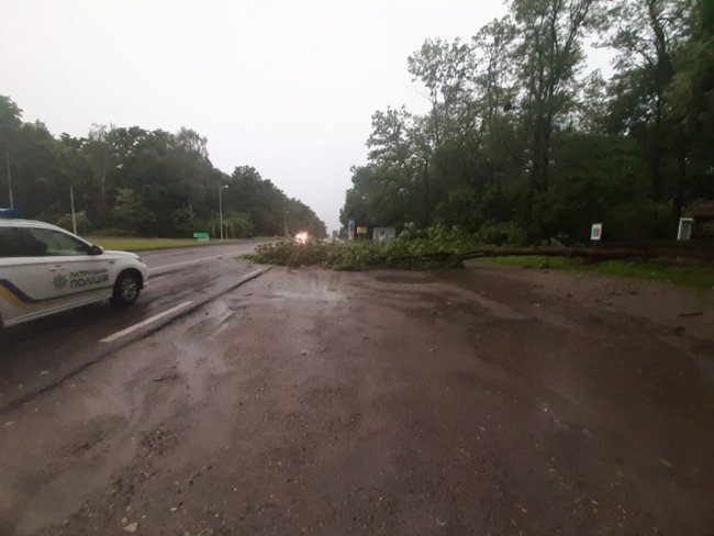 Жінка загинула через негоду у Львові 09