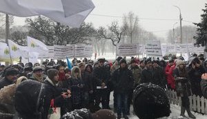 Более тысячи аграриев призвали депутатов поддержать законопроект №7363 о деконцентрации отношений в земельной сфере