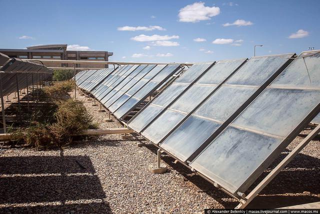 израиль армия