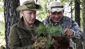 шойгу