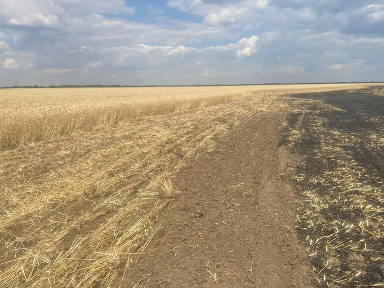 На Херсонщині окупанти обстріляли поле: знищено 25 га озимої пшениці