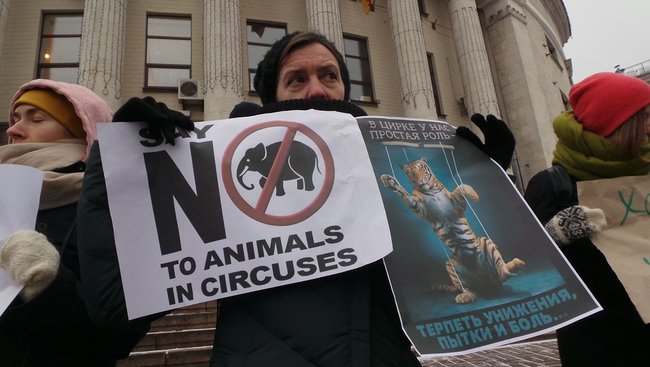 Страждання - це НЕ смішно! У Києві протестували проти використання тварин у цирку 28