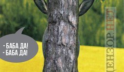 В николаевском лесу...