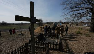 пошукові роботи