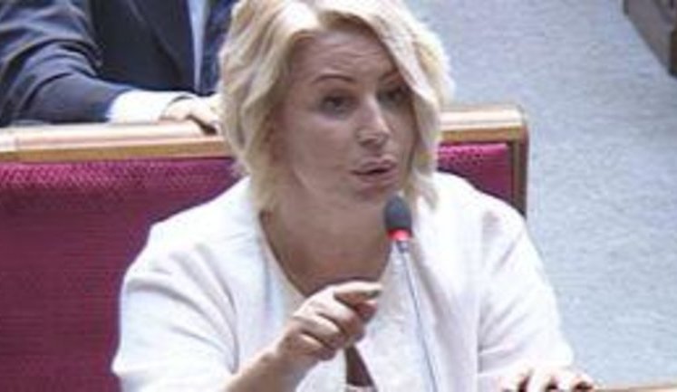Герман в Раде попыталась устроить провокацию для российских СМИ. Ее чуть не выгнали. ВИДЕО