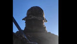 "За вами долбо#б Вовчик х#йло, а за нами - наша земля!": Український військовий звернувся до окупантів з РФ. ВIДЕО