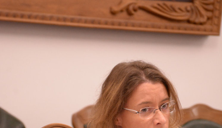 Посол Франції назвала ганьбою пост пропрезидентського політолога Березовця про Зеленського та пожежу в соборі Нотр-Дам