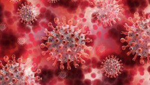 Ukraine reports 11,968 new coronavirus cases