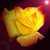 Анна Анненкова #274068