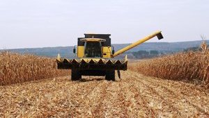 Кому принадлежат крупнейшие агрохолдинги Украины