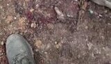 Remains of occupier are lying on ground