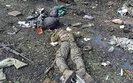окупант,ліквідація