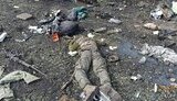 окупант,ліквідація