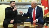 трамп,зеленый,ссора,спор,спор