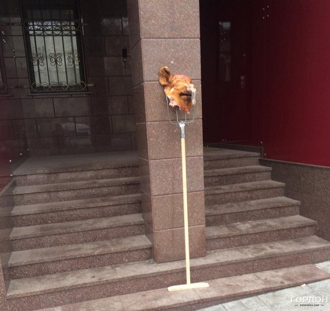 Невідомі принесли під офіс журналіста Гордона свинячу голову. Той заявив, що з неї вийшов несмачний холодець 02