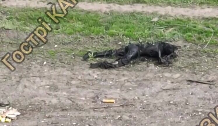 Special operations soldiers show battlefield after another Russian assault: pile of bodies scattered across street. VIDEO