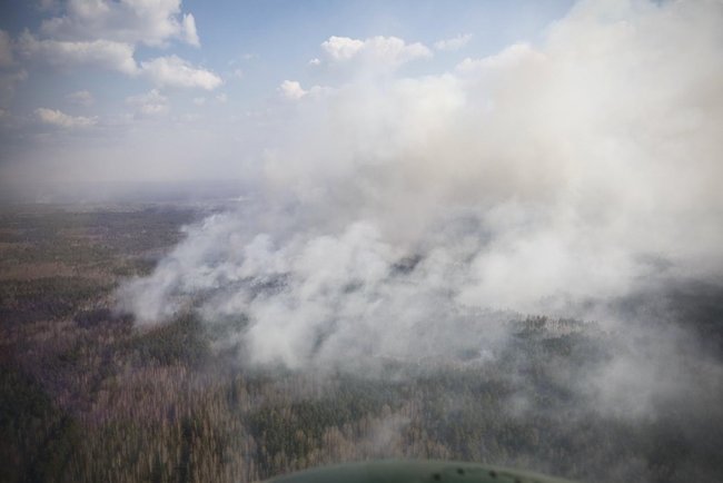 Постраждалі від пожеж отримають допомогу, - глава ОП Єрмак 02