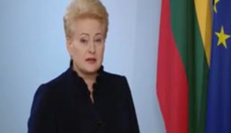 "Лишайтеся рішучими. Ви обрали правильний шлях", - Президент Литви Грібаускайте привітала українців із Днем незалежності. ВIДЕО