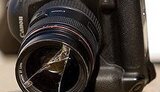 ПУТИН ОПАСЕН ДЛЯ ЖУРНАЛИСТОВ (Газета.Ru)