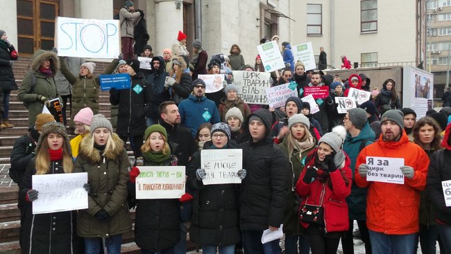 Страждання - це НЕ смішно! У Києві протестували проти використання тварин у цирку 30
