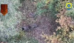 Бійці 56 бригади ліквідували ударними дронами десяток окупантів та вороже укриття