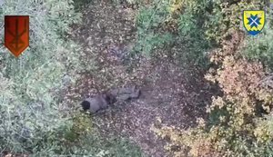 Оператори дронів 56-ї Маріупольської бригади знищили 10 окупантів та укриття. ВIДЕО