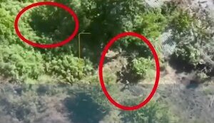 Ten bodies of occupiers lie in bushes after hit of Ukrainian mine. VIDEO 18+
