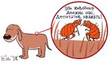 В мире животных