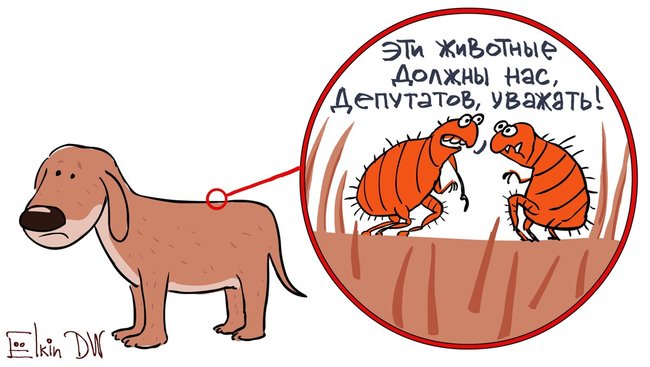 Галюциногенна зброя Путіна, ЗЕ-сироти, російські блогери майбутнього. Свіжі ФОТОжаби від Цензор.НЕТ 12