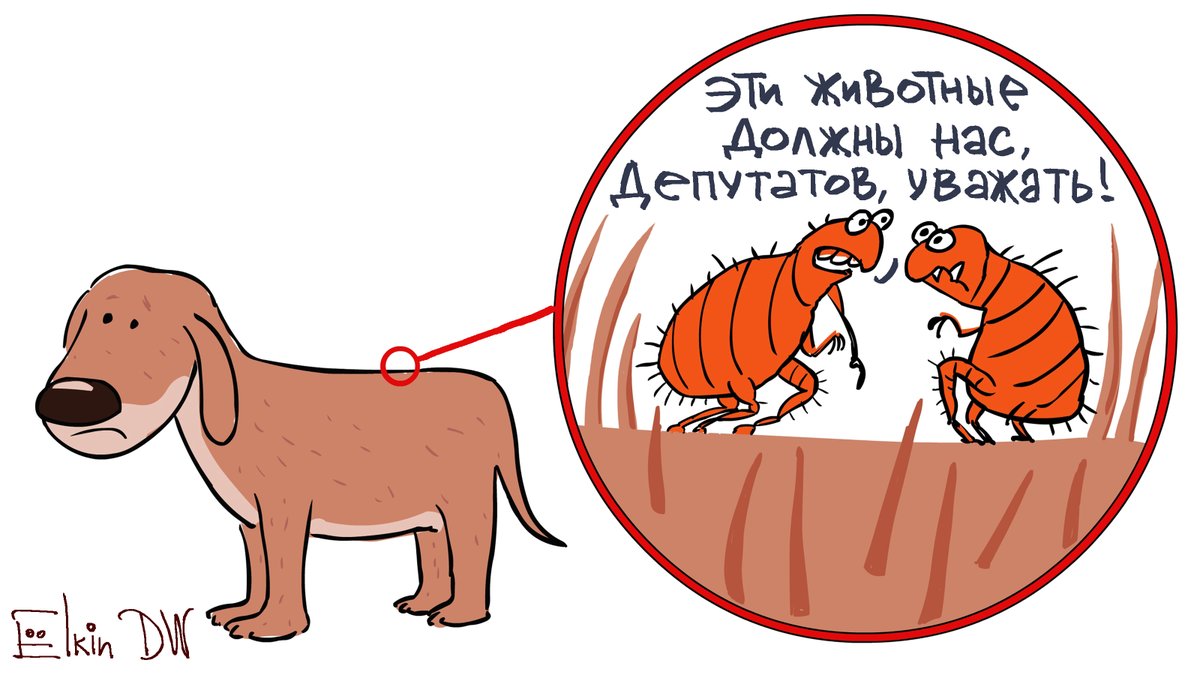 В мире животных