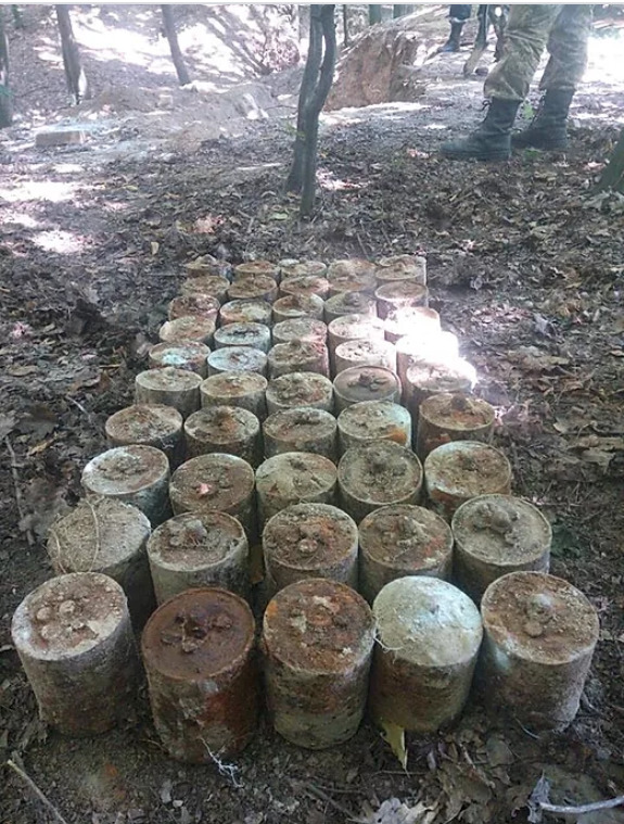 Мешканців і гостей Києва просять не гуляти на Лисій горі: знайдено багато боєприпасів 01